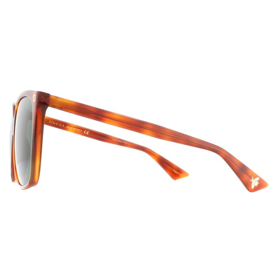 Gucci Sunglasses GG0022S 002 Havana Green