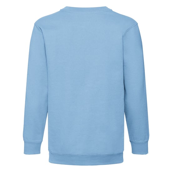 Fruit Of The Loom Kids Unisex Classic 80/20 Set-In Sweatshirt (Pack of 2) (Sky Blue)