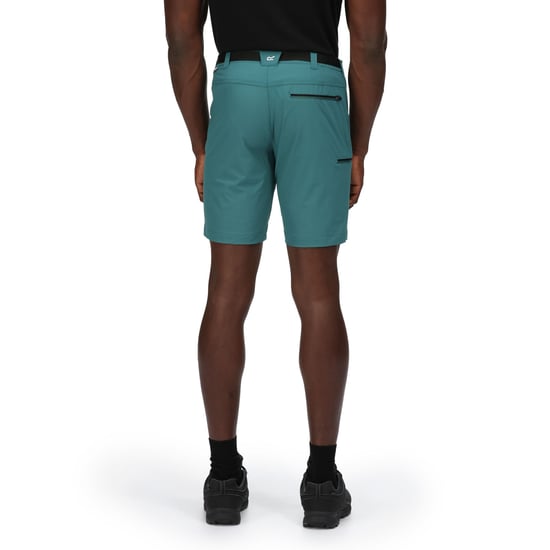 Regatta - "Xert III" Shorts für Herren (Pazifikgrün) - Image 5