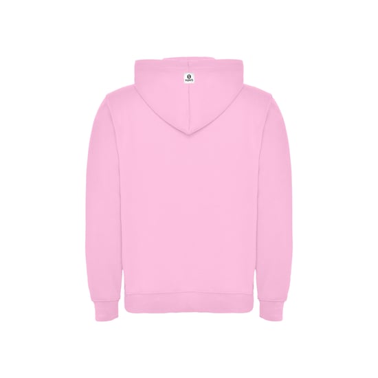Sudadera Capucha Icon Sweatshirt