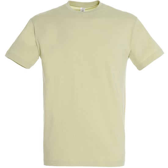 SOLS Herren Regent T-Shirt mit kurzen Ärmeln (Grüner Salbei) - Image 1
