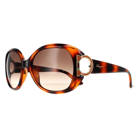 Salvatore Ferragamo Oval Womens Tortoise Brown Gradient Sunglasses