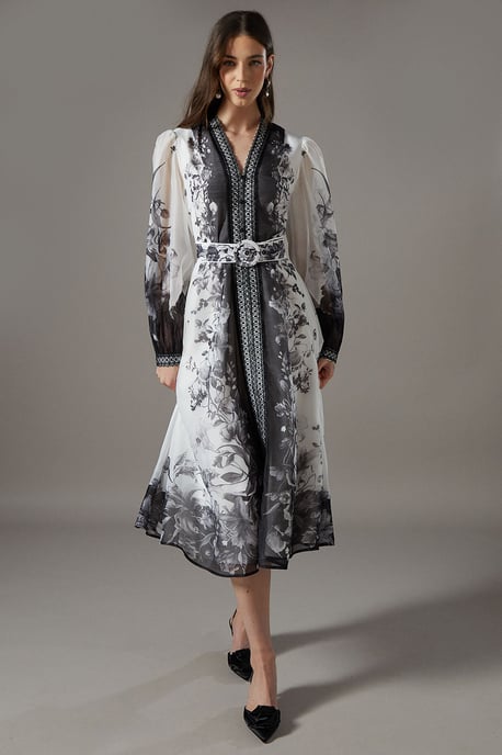 Boarder Printed Organza Shirt Dress