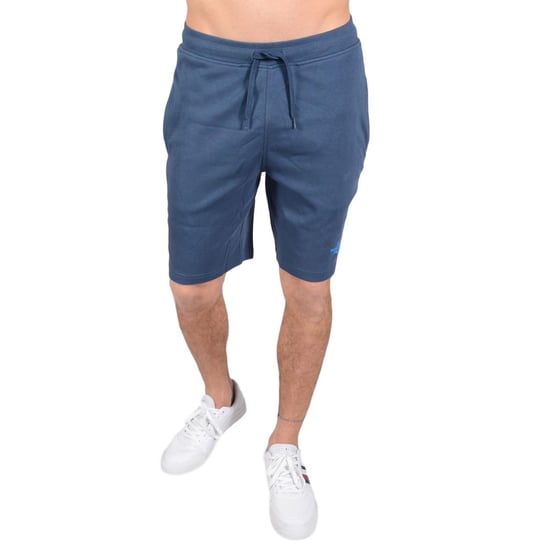 The North Face Shorts Graphic Herren Blau - Image 1