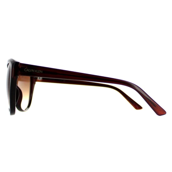 Calvin Klein Cat Eye Womens Crystal Brown Brown CK19536S