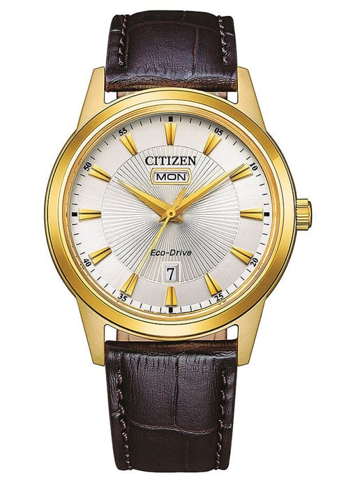 Citizen Braun Herren Armbanduhr AW0102-13AC - Image 1