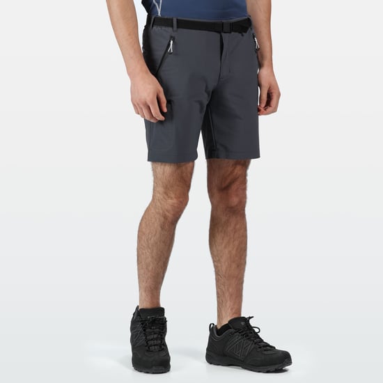 Regatta - "Xert III" Shorts für Herren (Grau) - Image 5