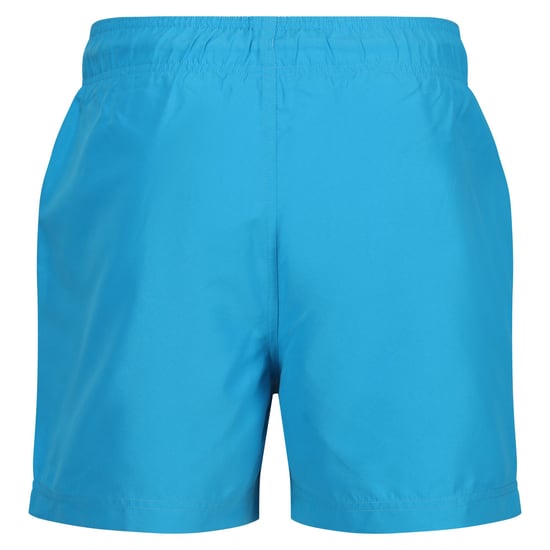Regatta Mens Mawson II Swim Shorts (Fluro Blue)