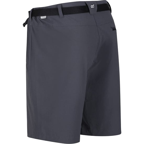 Regatta - "Xert III" Shorts für Herren (Grau) - Image 4