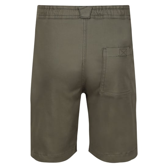 Regatta Childrens/Kids Alber Ottoman Shorts (Grape Leaf)