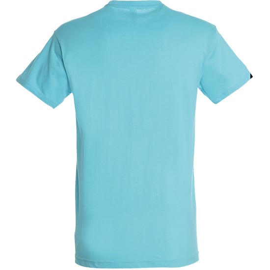 SOLS Herren Regent T-Shirt mit kurzen Ärmeln (Aqua) - Image 2