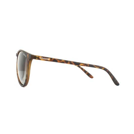 Polaroid Sunglasses PLD 6003/N/S V08 LA Havana Brown Gradient Polarized
