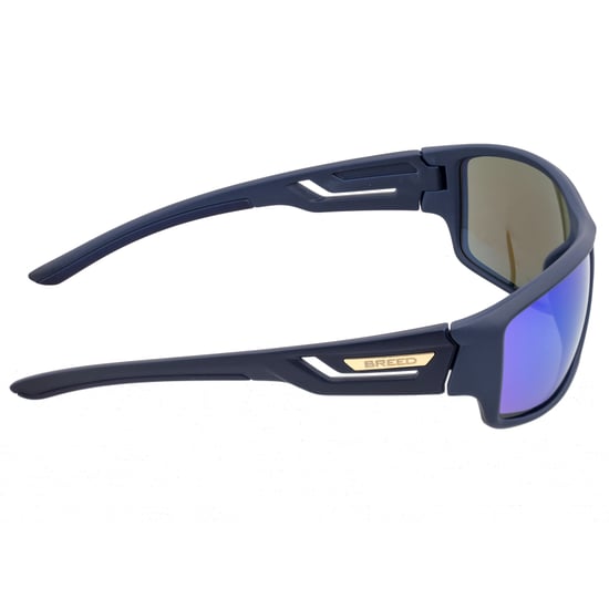 Breed Aquarius Polarized Sunglasses