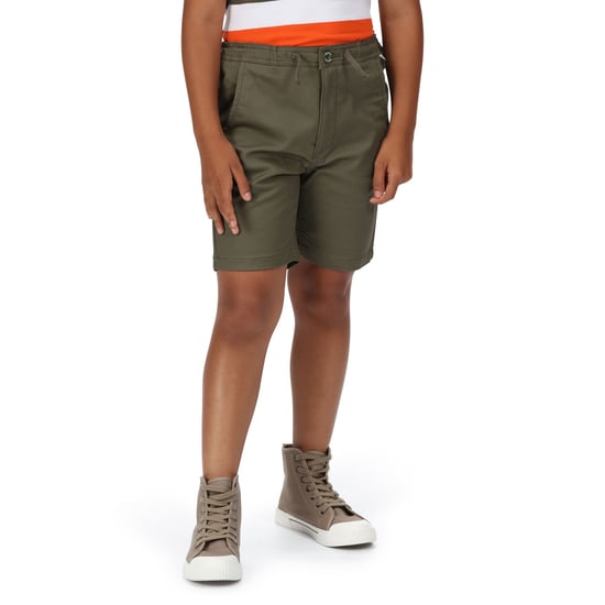 Regatta Childrens/Kids Alber Ottoman Shorts (Grape Leaf)