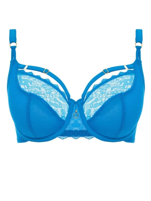 Temptress Plunge Bra