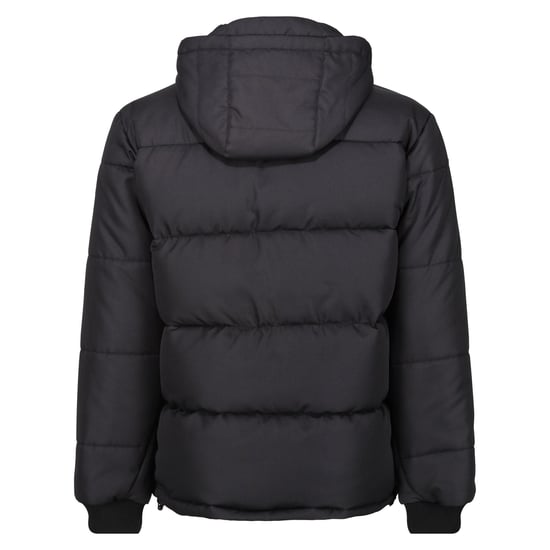 Regatta Mens Northdale Insulated Jacket (Black)