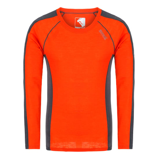 Regatta Great Outdoors Mens Beru Base Layer Shirt