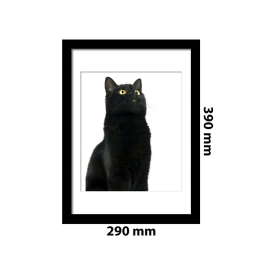 Combo of Framed Art 2in1 Cute Black Cat Poster Framed Photo, Framed Art