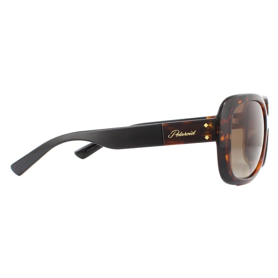 Polaroid Sonnenbrille PLD 4069/G/S/X 086 LA Havana Braun Farbverlauf Polarisierend - Image 4