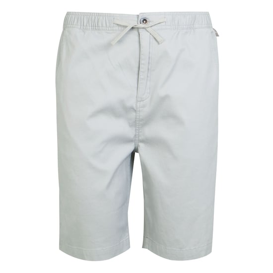 Regatta - "Aldan" Shorts für Herren (Silbergrau) - Image 1
