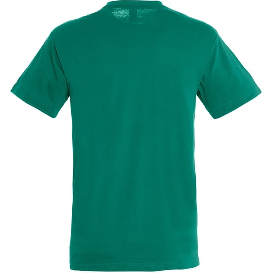 SOLS Herren Regent T-Shirt mit kurzen Ärmeln (Smaragd) - Image 2