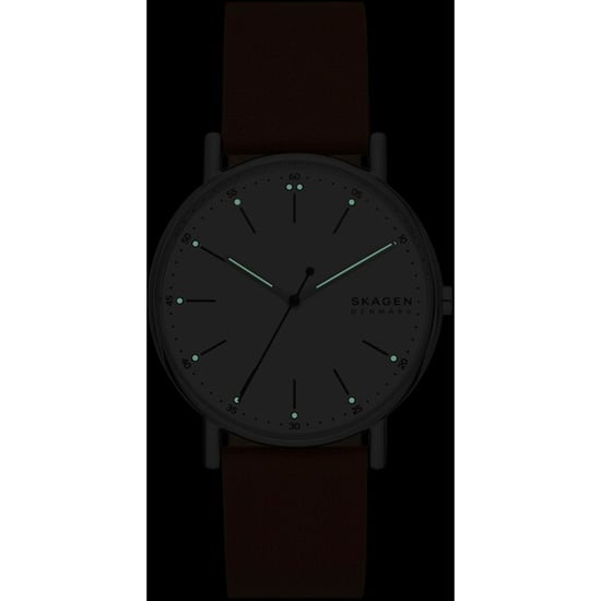 Skagen Signatur Men's Brown Watch SKW6903