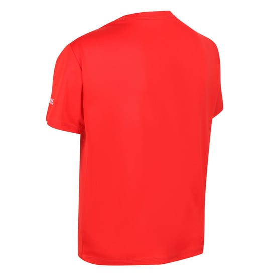 Regatta Childrens/Kids Alvarado VI Mountain T-Shirt (Fiery Red)