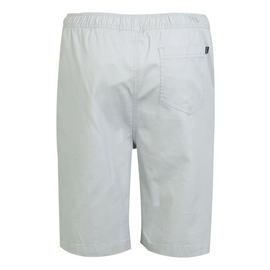 Regatta - "Aldan" Shorts für Herren (Silbergrau) - Image 2
