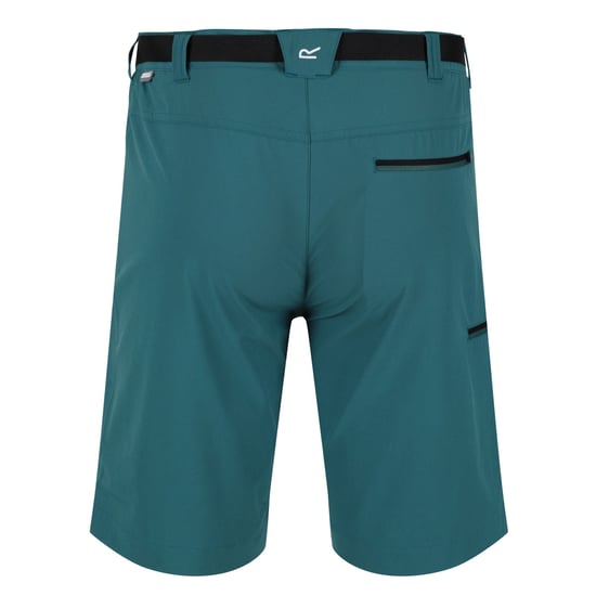 Regatta - "Xert III" Shorts für Herren (Pazifikgrün) - Image 2