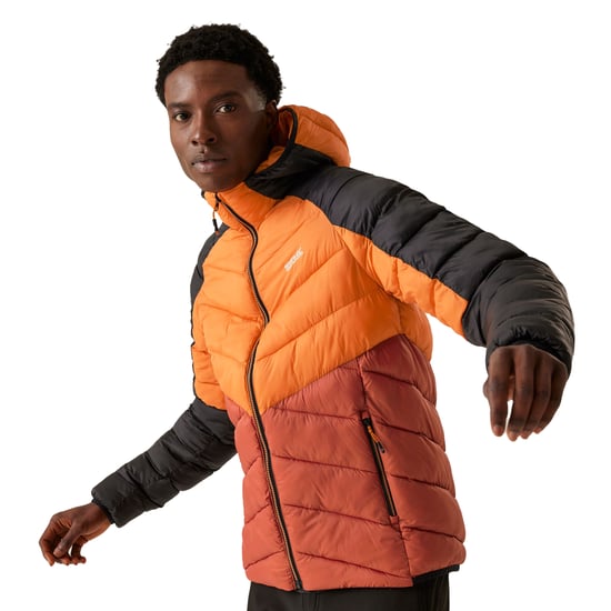 Regatta Mens Dalent Hooded Insulated Jacket (Fox/Red Ochre)