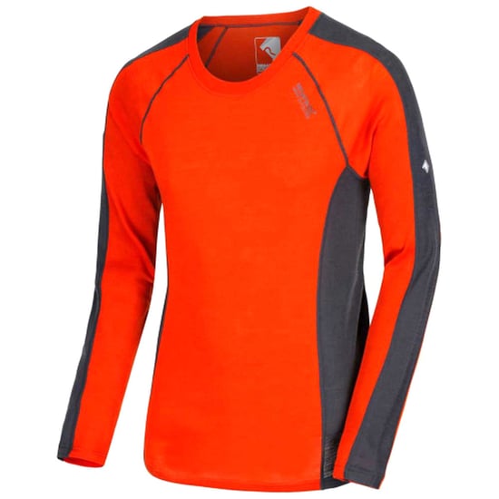 Regatta Great Outdoors Mens Beru Base Layer Shirt