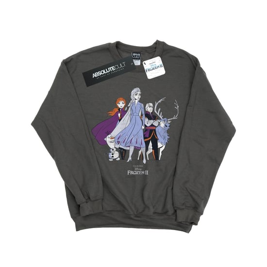 Disney Womens/Ladies Frozen 2 Distressed Group Sweatshirt (Charcoal)