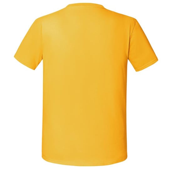 Fruit Of The Loom Herren Premium T-Shirt (Sonnenblume) - Image 2