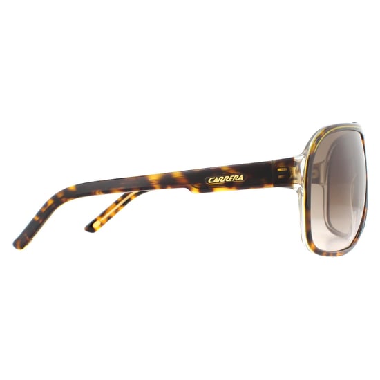 Carrera Aviator Mens Havana Brown Gradient Sunglasses