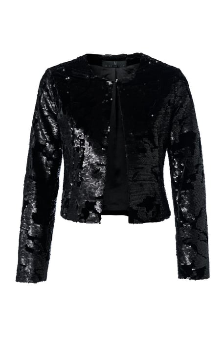 Roselle Blazer Zwart