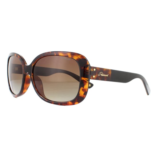 Polaroid Sonnenbrille PLD 4069/G/S/X 086 LA Havana Braun Farbverlauf Polarisierend - Image 2