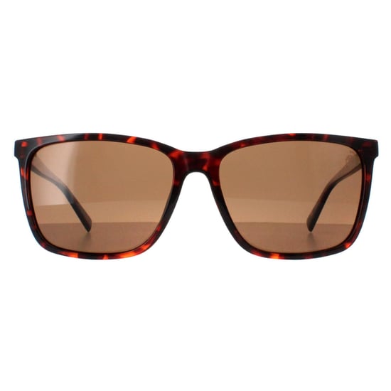 Timberland Square Mens Dark Havana Brown Polarized TB9280-H