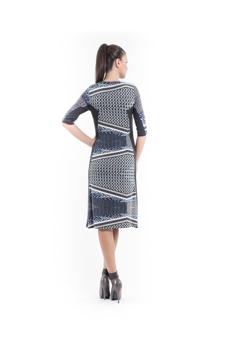 Print and Panel Stretch Dress