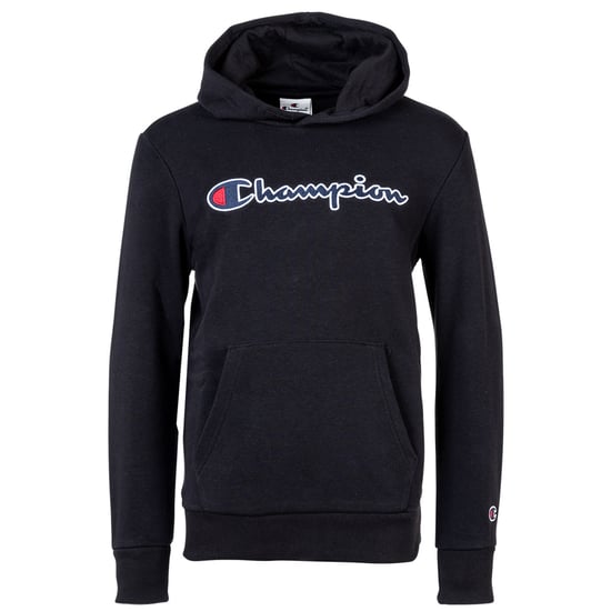 Champion Unisex Hoodie Sweatshirt - Image 1