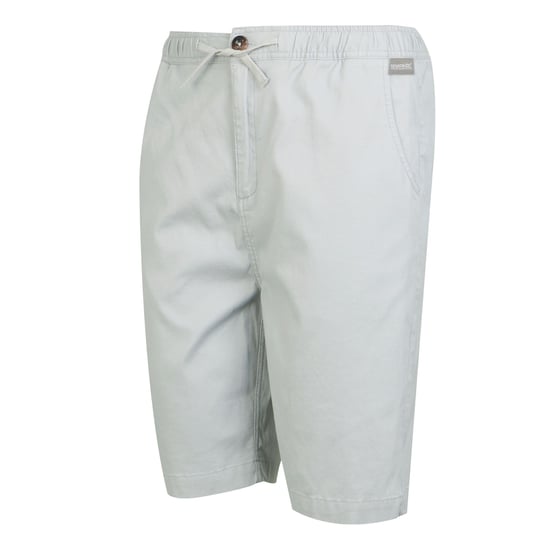 Regatta - "Aldan" Shorts für Herren (Silbergrau) - Image 3