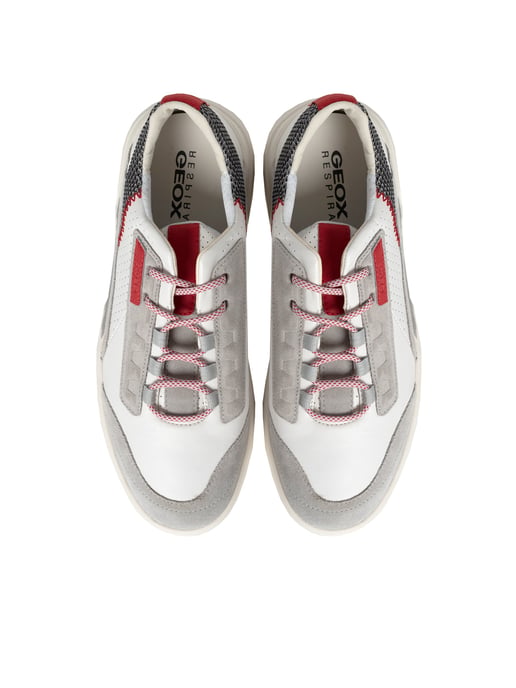 Geox Sneaker Smoother Herren weiß - Image 4