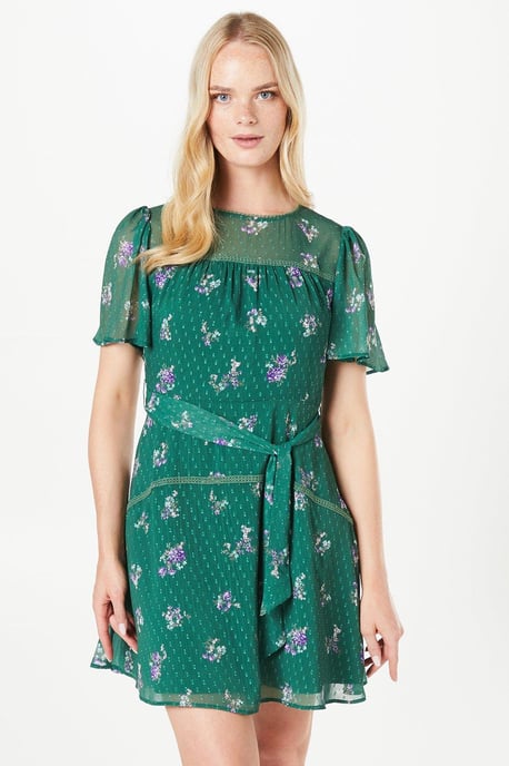 Floral Dobby Lace Insert Mini Dress - Image 1