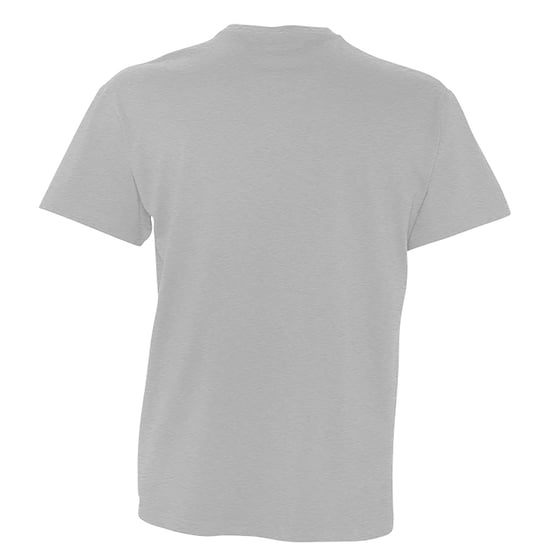 SOLS Herren Victory V-Ausschnitt T-Shirt mit kurzen Ärmeln (grau meliert) - Image 2