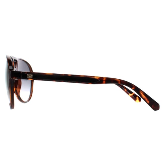 Guess Aviator Mens Dark Havana  Brown Mirror GF5070