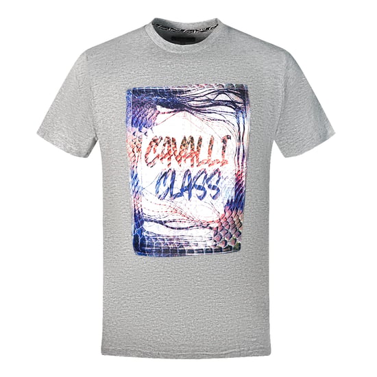 Cavalli Class Box Logo Graues T-Shirt - Image 1
