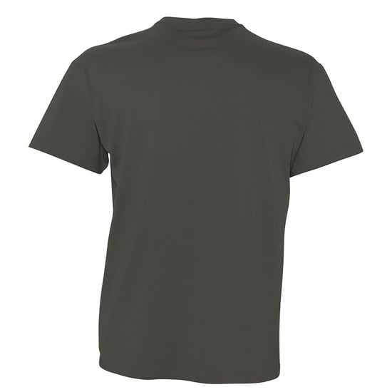 SOLS Herren Victory T-Shirt, V-Ausschnitt, Kurzarm (Dunkelgrau) - Image 2