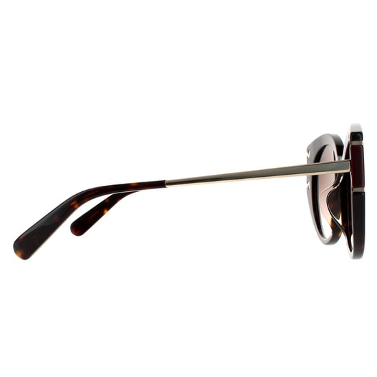 Salvatore Ferragamo Cat Eye Womens Schildpatt Braun Gradient Sonnenbrillen - Image 4