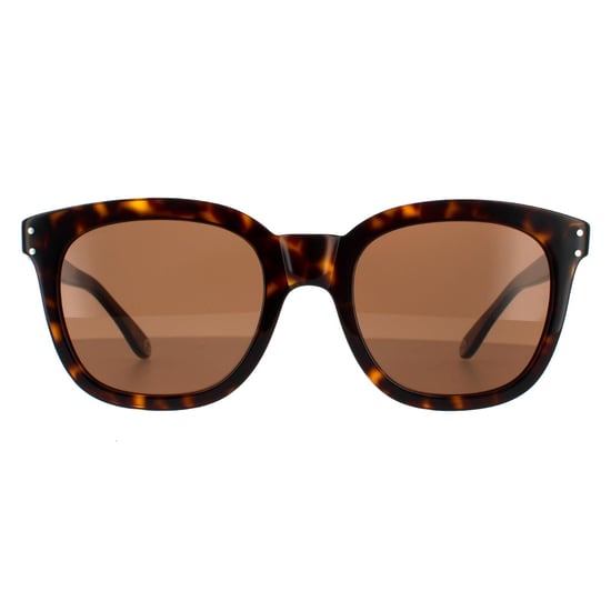 Gucci Square Mens Dark Havana  Brown Sunglasses