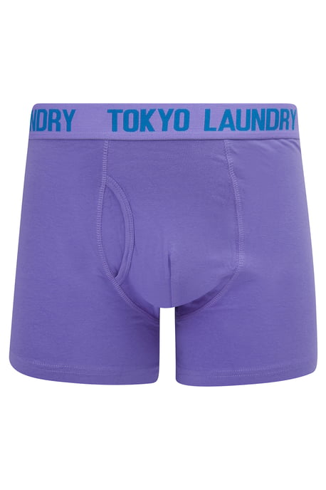 6-Pack Cotton Boxers