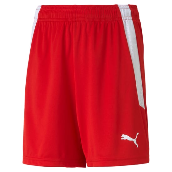 PUMA teamLIGA Youth Football Shorts